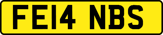 FE14NBS