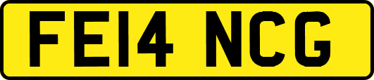 FE14NCG