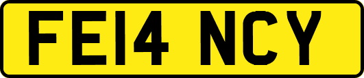 FE14NCY