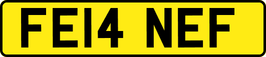 FE14NEF