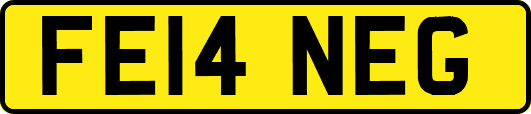 FE14NEG