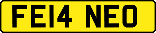 FE14NEO