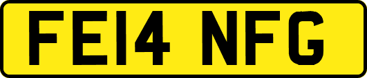 FE14NFG
