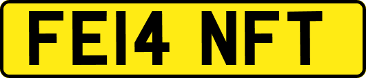FE14NFT