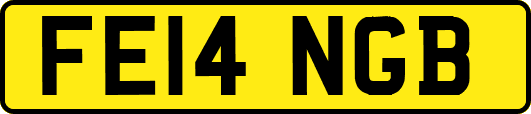 FE14NGB