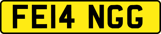 FE14NGG
