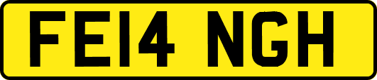 FE14NGH