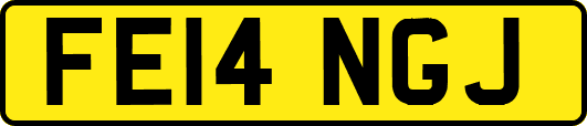 FE14NGJ