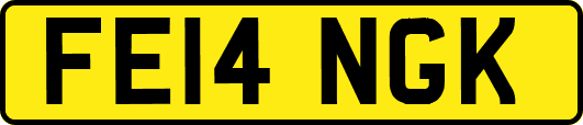 FE14NGK