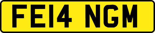FE14NGM