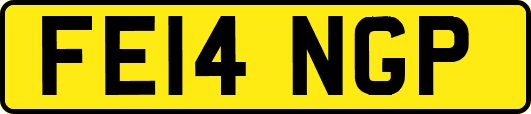 FE14NGP