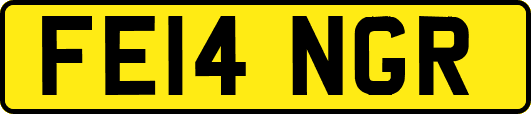 FE14NGR