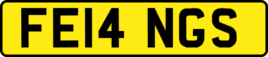 FE14NGS