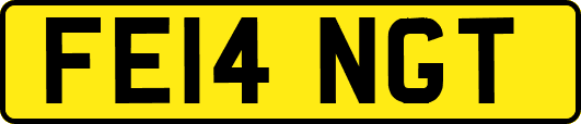 FE14NGT