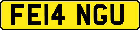 FE14NGU