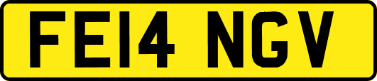 FE14NGV