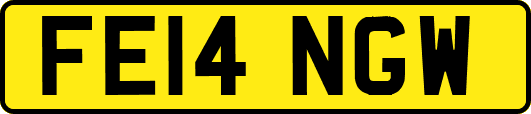FE14NGW