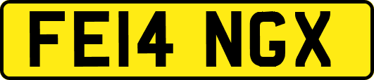 FE14NGX