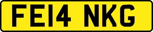 FE14NKG