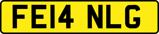 FE14NLG