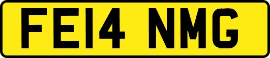 FE14NMG