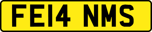 FE14NMS