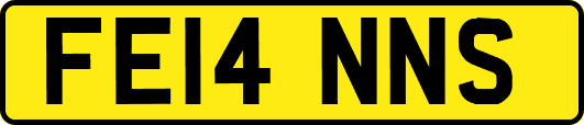 FE14NNS
