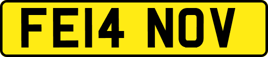 FE14NOV