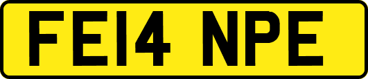 FE14NPE