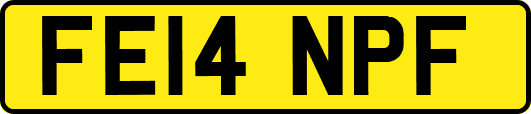 FE14NPF