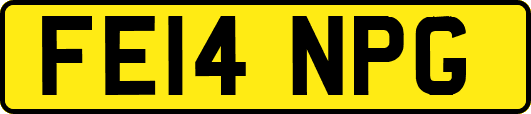 FE14NPG