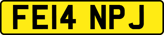 FE14NPJ