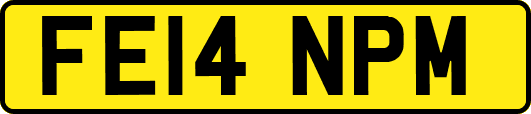 FE14NPM