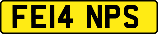 FE14NPS