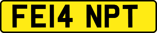 FE14NPT