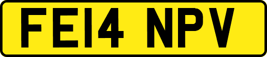 FE14NPV