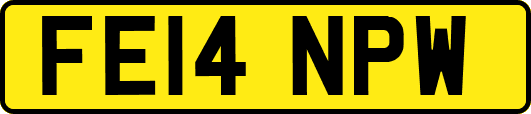 FE14NPW