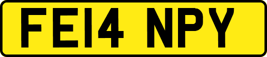 FE14NPY
