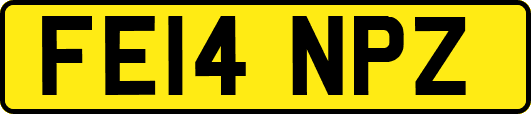 FE14NPZ