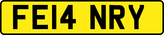 FE14NRY