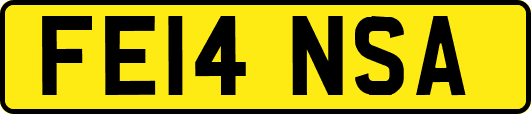 FE14NSA