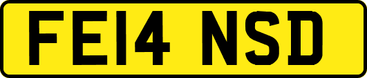 FE14NSD