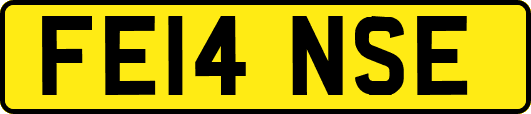FE14NSE