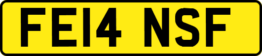 FE14NSF