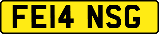 FE14NSG