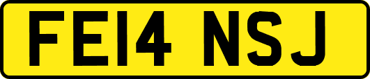 FE14NSJ
