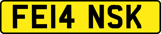 FE14NSK