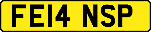 FE14NSP