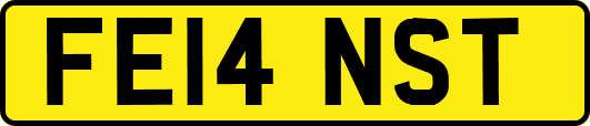 FE14NST