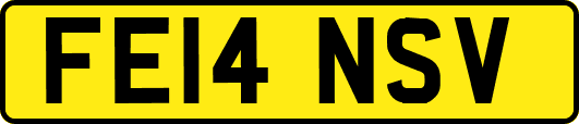 FE14NSV